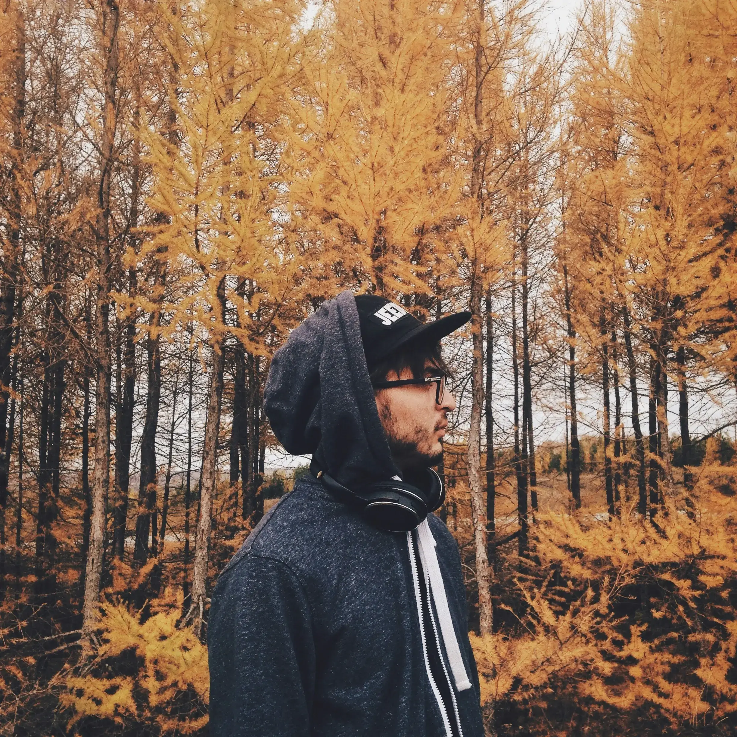 Avatar slika Djorde